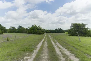 Waxahachie, TX 75167