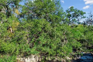 Uvalde, TX 78801