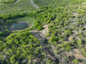 Voss, TX 76888