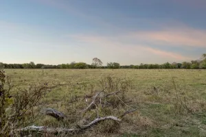 Point, TX 75472
