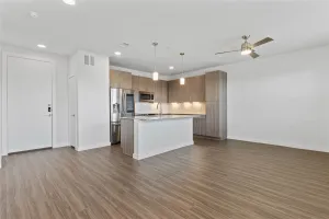 Dallas, TX 75204