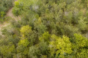 Wills Point, TX 75169