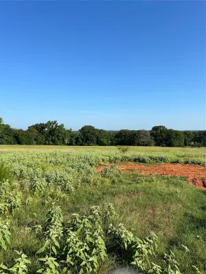 Tyler, TX 75706