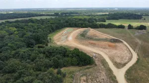 Terrell, TX 75161