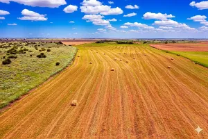 Harrold, TX 76364
