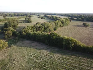 Mexia, TX 76667