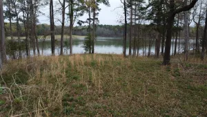 Pittsburg, TX 75686