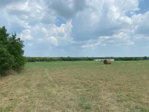 Farmersville, TX 75442