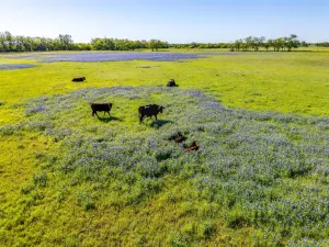 Weatherford, TX 76085