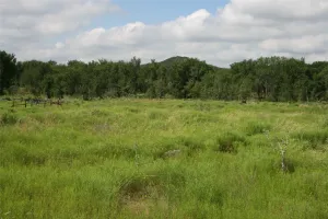 Strawn, TX 76475