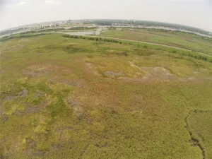 Orange, TX 77651