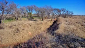 Wichita Falls, TX 76305