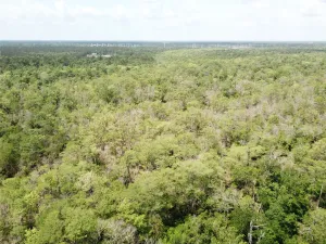 Orange, TX 77614