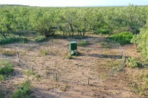 Robert Lee, TX 76945
