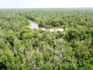 Orange, TX 77614