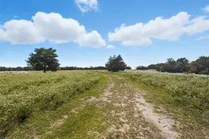 Lone Oak, TX 75453