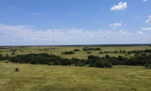 Southmayd, TX 76268