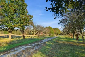 Caddo Mills, TX 75135
