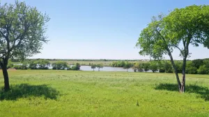 Celina, TX 75009