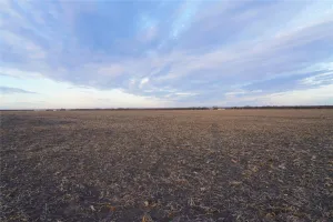 Celeste, TX 75423