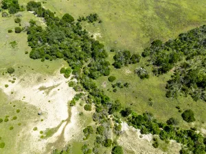 Evant, TX 76525
