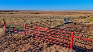 Petrolia, TX 76377