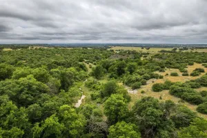 Hamilton, TX 76531