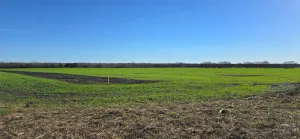 Forney, TX 75126