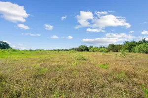 Tolar, TX 76476