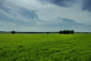 Henrietta, TX 76230