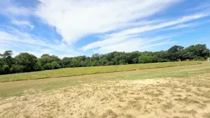Celina, TX 75009