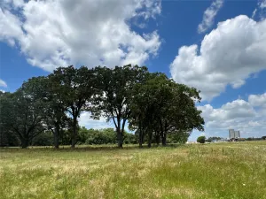 Sulphur Springs, TX 75482