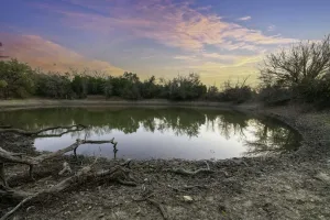 Hico, TX 76457