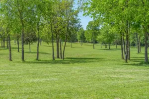Edgewood, TX 75117