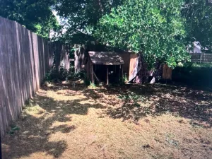 Bowie, TX 76230