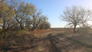 Abilene, TX 79601