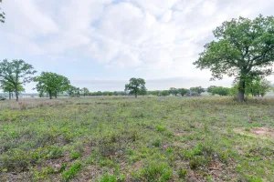 Ovalo, TX 79541