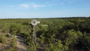 Caddo, TX 76429