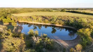 Gorman, TX 76454