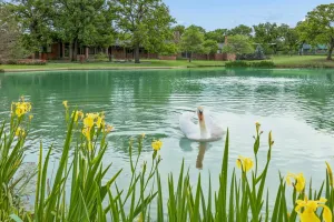 Westlake, TX 76262
