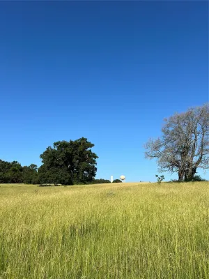 Tyler, TX 75706