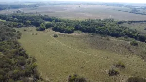 Dawson, TX 76639