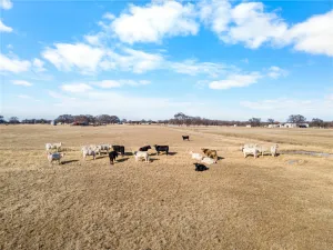 Tioga, TX 76271
