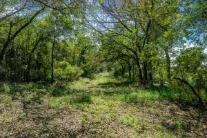 Henrietta, TX 76230