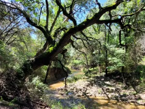 Lampasas, TX 76550