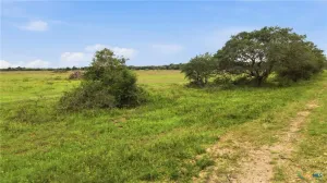 Hallettsville, TX 77964