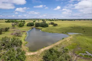 Hamilton, TX 76531