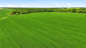 Whitesboro, TX 76273