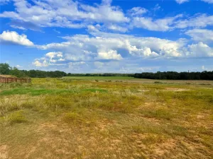 Jacksboro, TX 76458