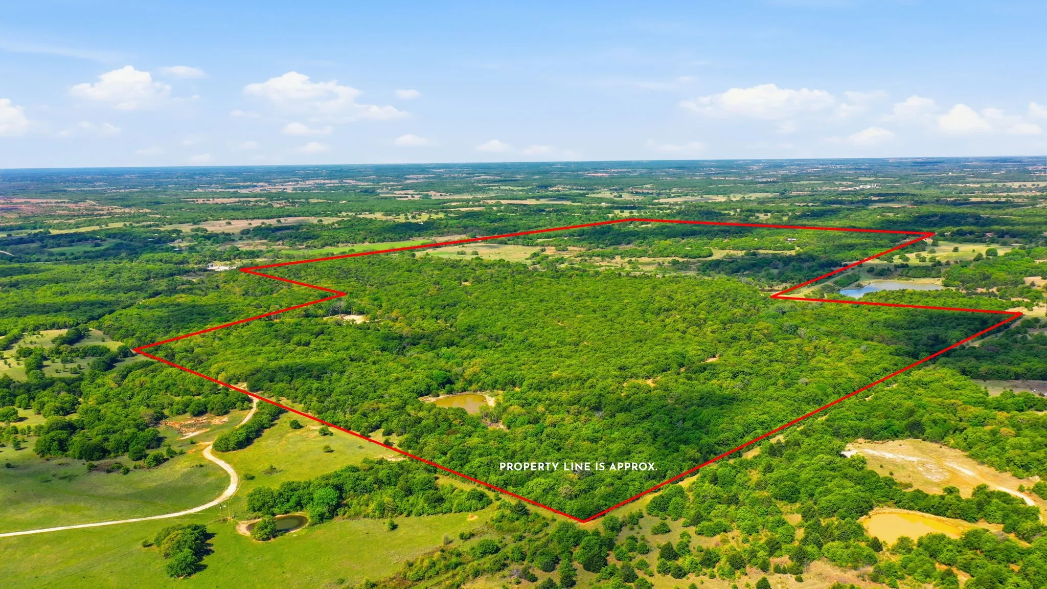 Forestburg, TX 76239